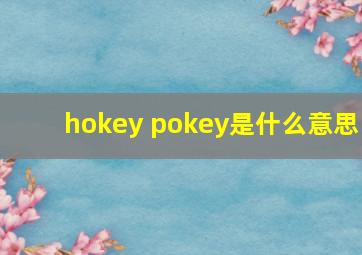 hokey pokey是什么意思